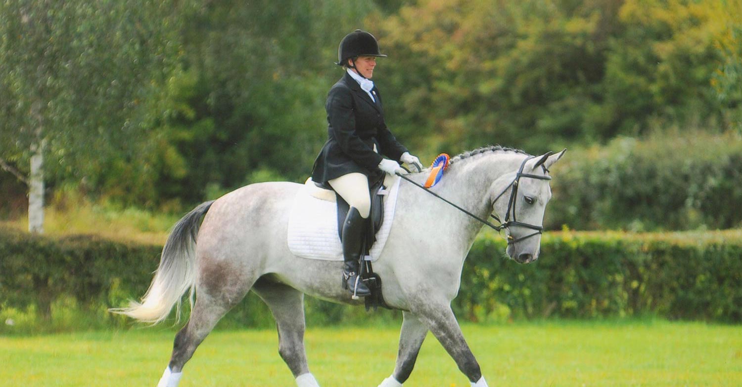 Dressage to Music